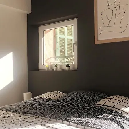 Apartment Cosy En Plein Centre-ville Cannes